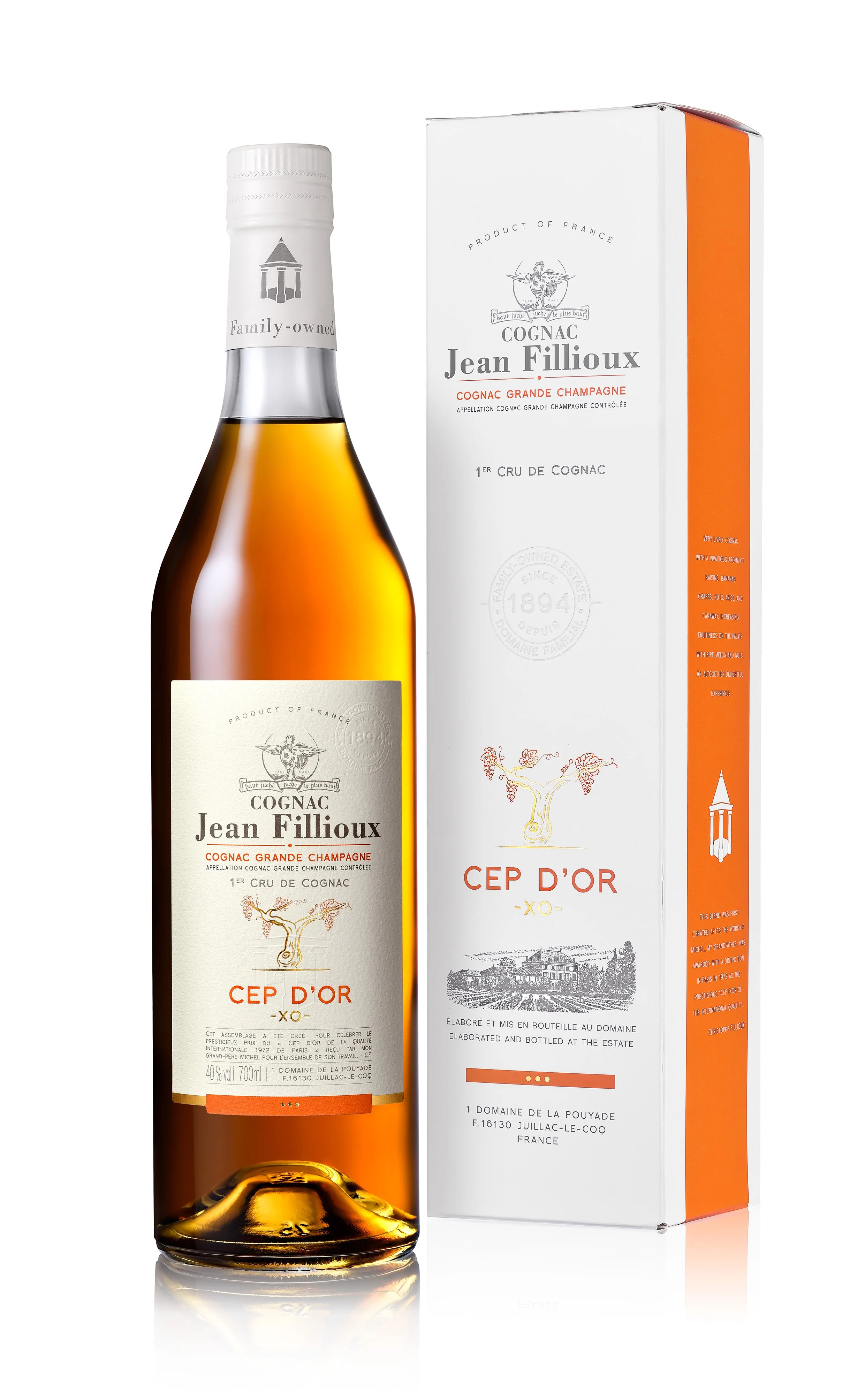 未開栓/ジャン フィユー ナポレオン/Vieille/FILLIOUX/角瓶/ブランデー/コニャック /700ml/40% 同梱不可 1円～ Jean Fillioux NAPOLEON ジャン フィユー ナポレオン